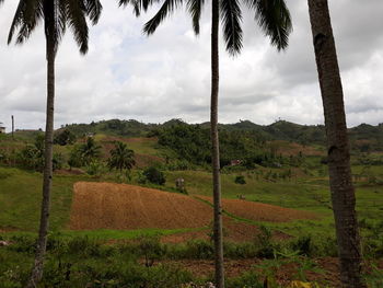 Scenic view of farm against sky