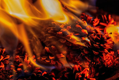 Close-up of bonfire