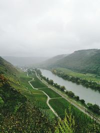 Scenic view of agricultural landscape against sky