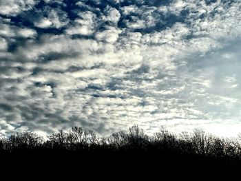 Silhouette trees on field against sky