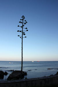 Scenic view of sea against clear blue sky