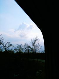 Silhouette of bare trees on landscape