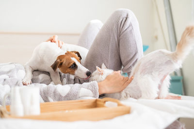 Midsection of man with dog relaxing at home