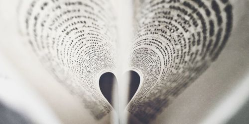 Close-up of feather on book