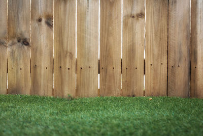 Close-up of wood on grass