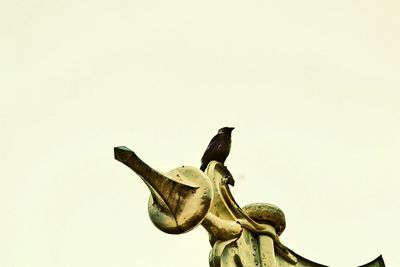 Low angle view of statue