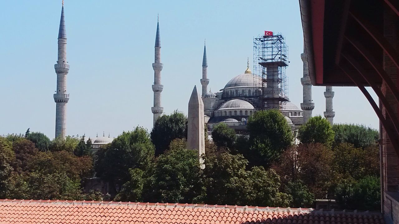 architecture, built structure, building exterior, tree, clear sky, tower, low angle view, religion, place of worship, travel destinations, famous place, growth, sky, history, spirituality, day, tall - high, mosque, outdoors, tourism