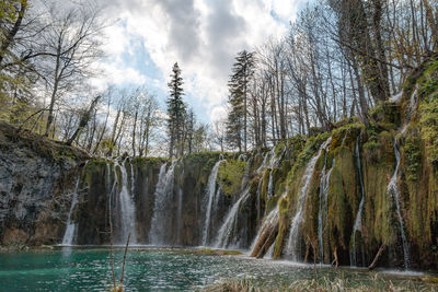 Scenic view of waterfall in forest