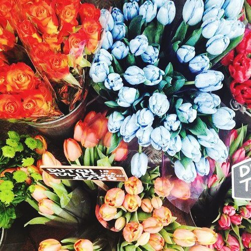 abundance, freshness, large group of objects, for sale, full frame, variation, choice, retail, backgrounds, multi colored, flower, market, high angle view, market stall, vegetable, arrangement, indoors, red, collection, display