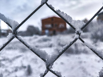 snow