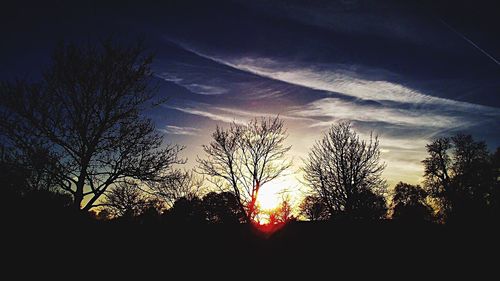 Low angle view of silhouette trees against sky at sunset