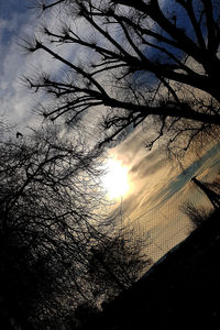 Low angle view of silhouette trees against sky during sunset