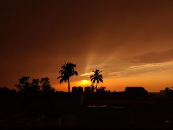 Silhouette palm trees against sky during sunset