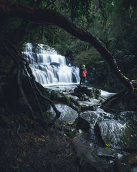 Rear view of man standing at waterfall in forest