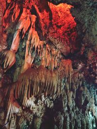 Close-up of cave