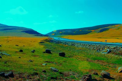Scenic view of field against sky