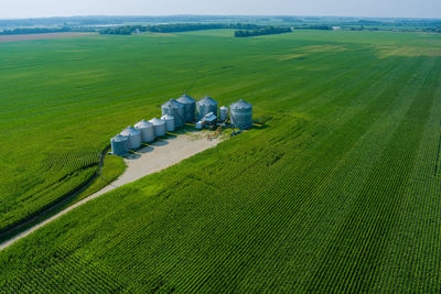 Scenic view of agricultural field