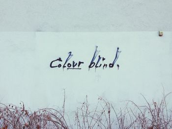 Close-up of text on wall