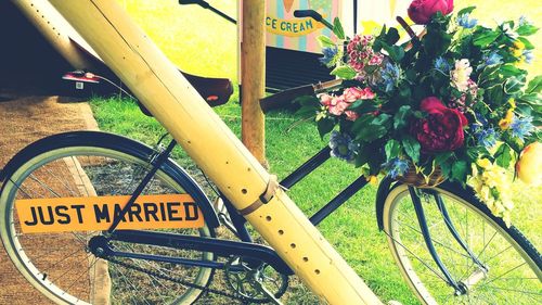 Close-up of bicycle on flower