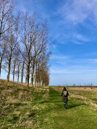 Rear view of woman walking along trees