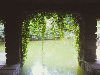 water
