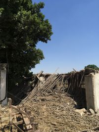 Abandoned building by trees against clear sky