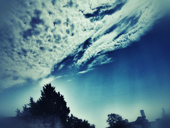 Low angle view of tree against cloudy sky