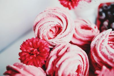 Close-up of pink roses