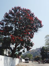 View of trees in city against sky