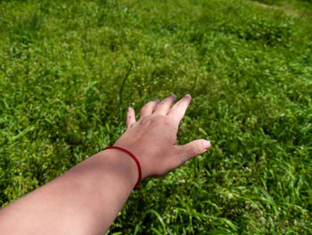 Midsection of person touching grass on field