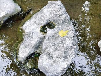 High angle view of rocks in water