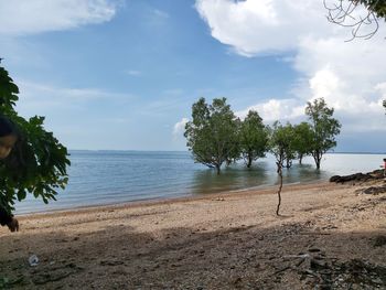 Scenic view of beach against sky