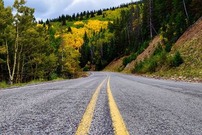 Road amidst trees against sky