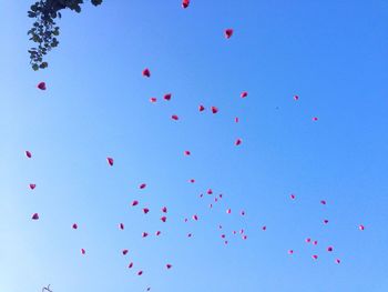 Low angle view of colorful balloons against blue sky