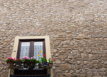 Potted plant on stone wall of building