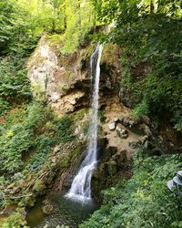 Scenic view of waterfall in forest