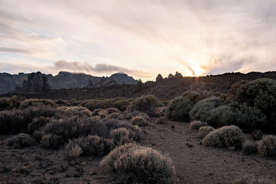 Scenic view of landscape against sky during sunset