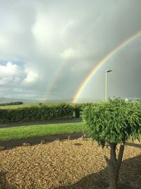 Scenic view of field against rainbow in sky