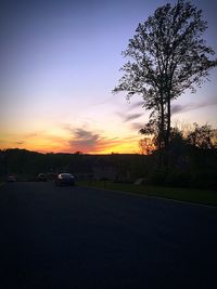 Silhouette of trees at sunset