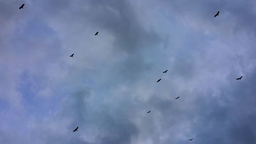 Low angle view of birds flying against cloudy sky