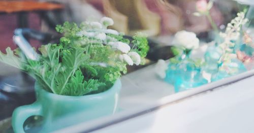 Close-up of vegetables in container