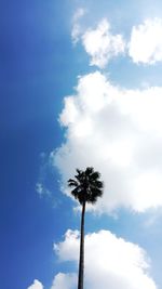 Low angle view of tree against blue sky