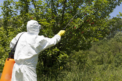 Rear view of person spraying pesticide on fruit tree