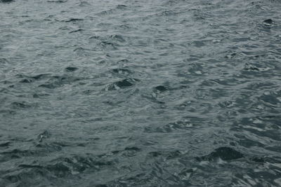 View of water in water