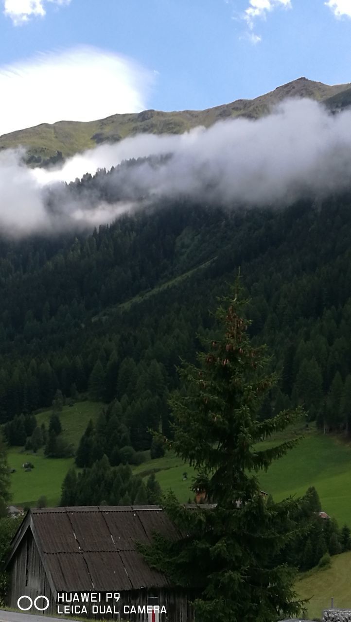 SCENIC VIEW OF GREEN LANDSCAPE AND MOUNTAINS AGAINST SKY