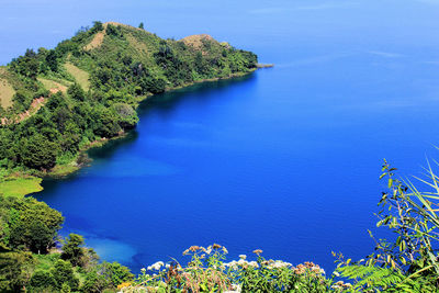 High angle view of trees by sea against blue sky