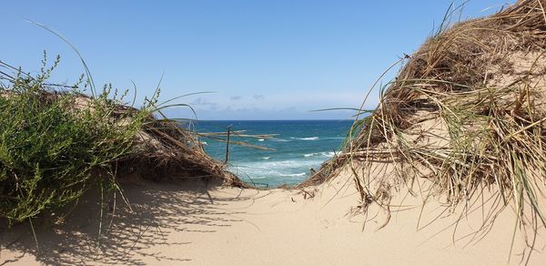 Scenic view of sea against clear blue sky