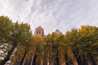 Low angle view of trees against building