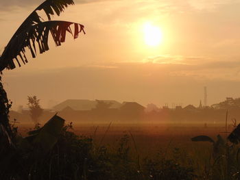 Scenic view of field against sky during sunset