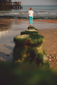 Rear view of person standing on pier